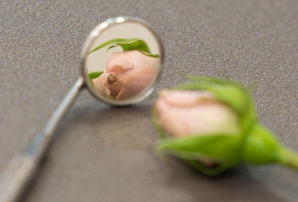 ատամնաքարերի մաքրում